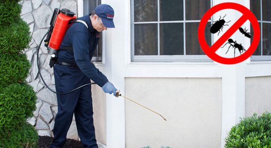 Tokat Akrep İlaçlama böcek ilaçlama ve haşere kontrolü — ilaclama-tr.com